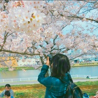Yumi Sudo